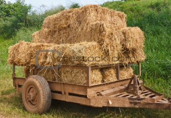 Hay wagon