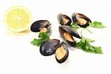 Mussels with Parsley and Lemon