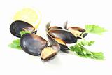 Mussels with flat leaf parsley and Lemon