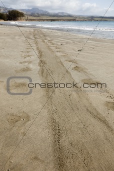 Trail from Elephant Seal on Ocean Front Shore Sand.