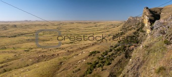 View of the savanna