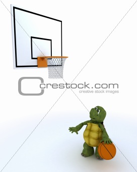 tortoise playing basket ball