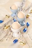 Eggs in white and blue eggcups