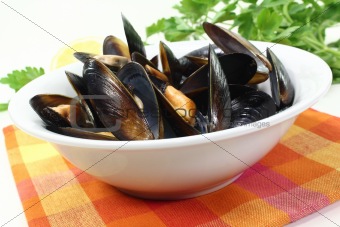 mussels in a white bowl