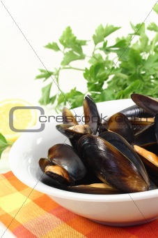 fresh mussels in a bowl