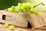 grapes in wood