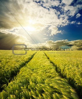 green field with road under sunset