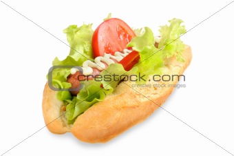 Tasty and delicious hotdog