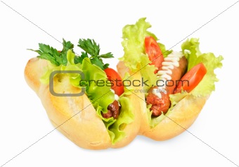 Two tasty and delicious hotdog