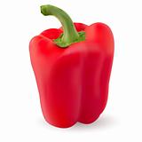 One Red pepper