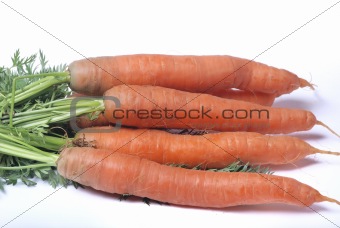 Carrot on a white background