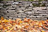 dry stone wall autumn leaves