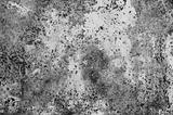 Photo of the grunge gray wall texture