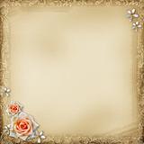 ancient photo album page background with   rose