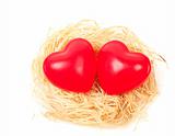 Hearts in nest