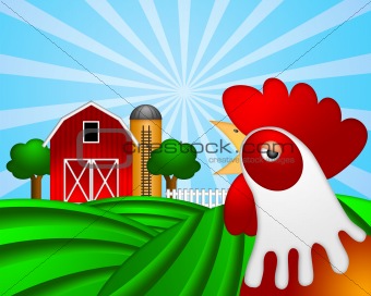 Rooster on Green Pasture with Red Barn with Grain Silo 