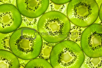 Fresh Kiwi pattern / background / back lit