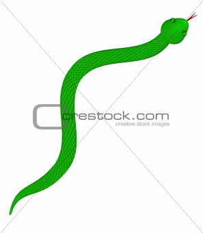 Green Snake with Scales Illustration