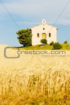 chapel with grain field, Plateau de Valensole, Provence, France