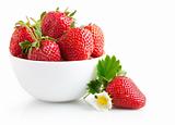 strawberry berry with green leaf and flower