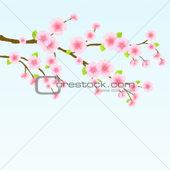 Sakura Blossom Cherry Tree on Light Blue Sky. Japanese Vector Illustration