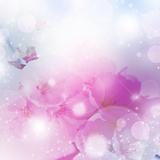Fresh, pink, soft spring cherry tree blossoms bokeh background