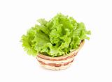 Leaves of lettuce salad in a basket