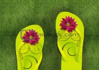 Colorful Flip Flops on green grass
