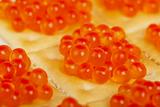 The perfect appetizer of red caviar on a cracker