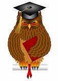 Wise Old Owl with Graduation Cap and Diploma Illustration