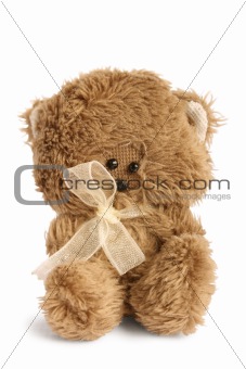 Cute teddy