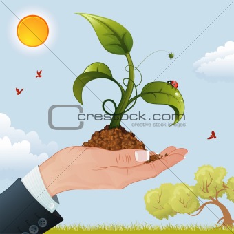Woman Hand with the Sprout
