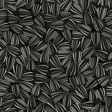 black sunflower seeds seamless background pattern