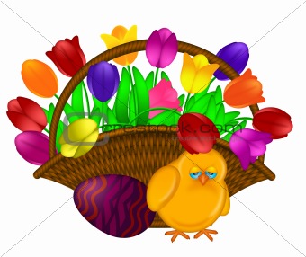 Basket of Colorful Tulips Flowers with Chick Illustration