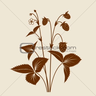 Strawberry shrub with fruits and flowers silhouette isolated