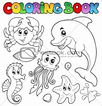 Coloring book various sea animals 2