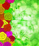 Colorful Roses Border with Blurred Background