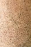 Human skin with strands of hair close up