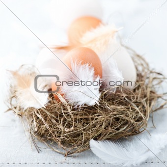 Eggs and Feathers in a Easter Nest
