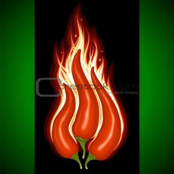 Hot chili pepper in the shape of fire sign