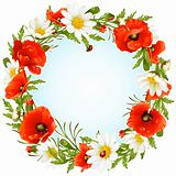 Vector camomile and poppy frame in the shape of circle