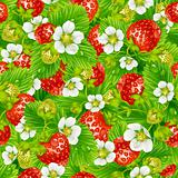 Vector strawberry seamless background