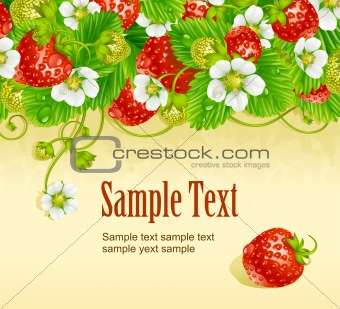 Vector strawberry frame. Red berry and white flower