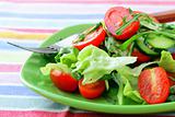 salad with lettuce and cucumber, arugula and cherry tomatoes