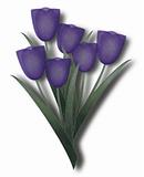 Grunge purple tulip