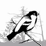 bird silhouette on wood background, vector illustration