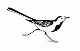 wagtail silhouette on white background, vector illustration