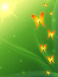green background with butterflys