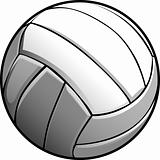 Volleyball Ball Vector Image Icon


