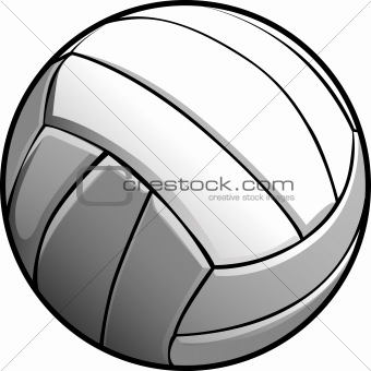 Volleyball Ball Vector Image Icon


